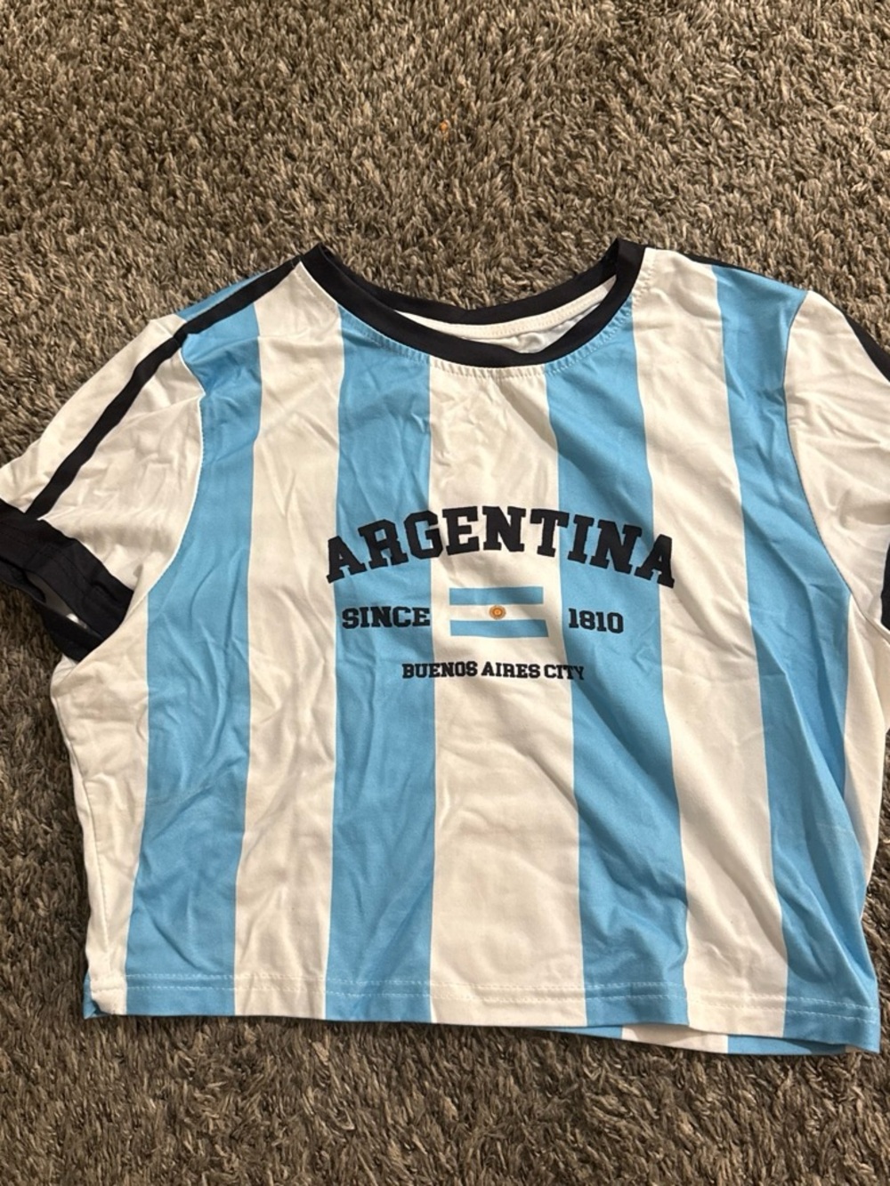 Argentina Graphic Stripe Crop Top - Blue & White